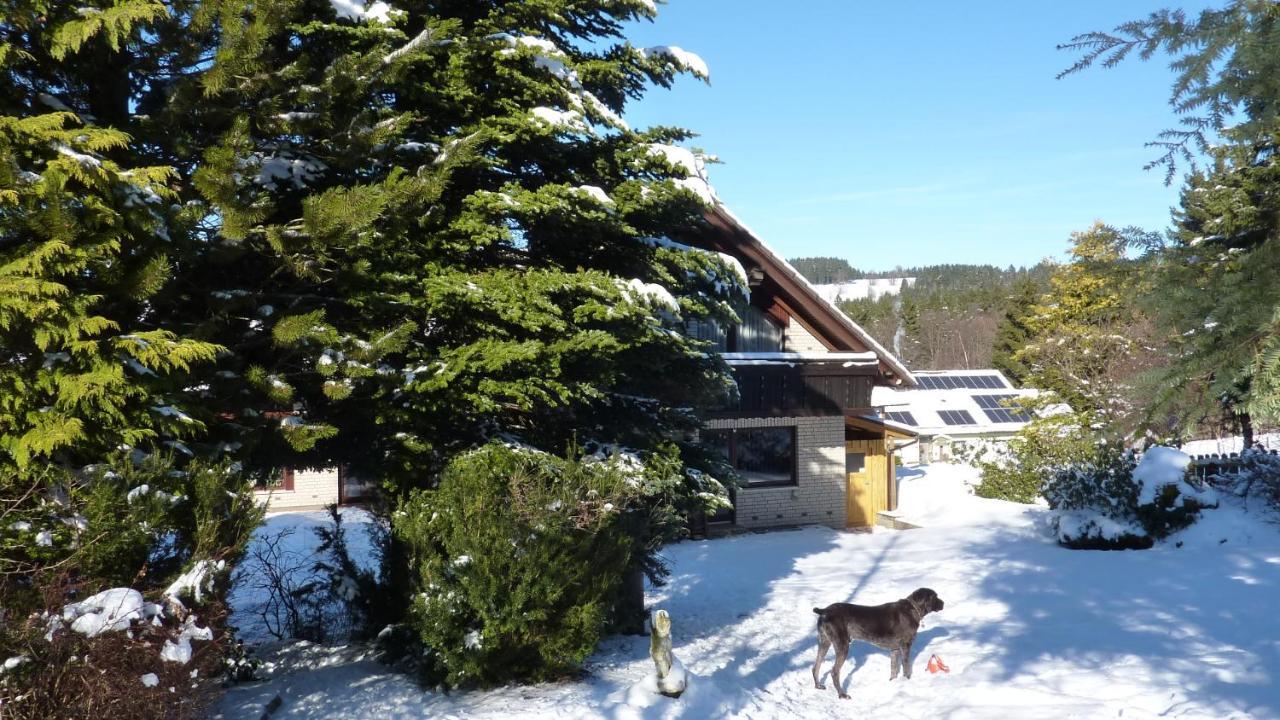זנקט אנדריאסברג Ferienwohnung Wiesenblick Mit Terrasse Im Landhaus Fischer מראה חיצוני תמונה