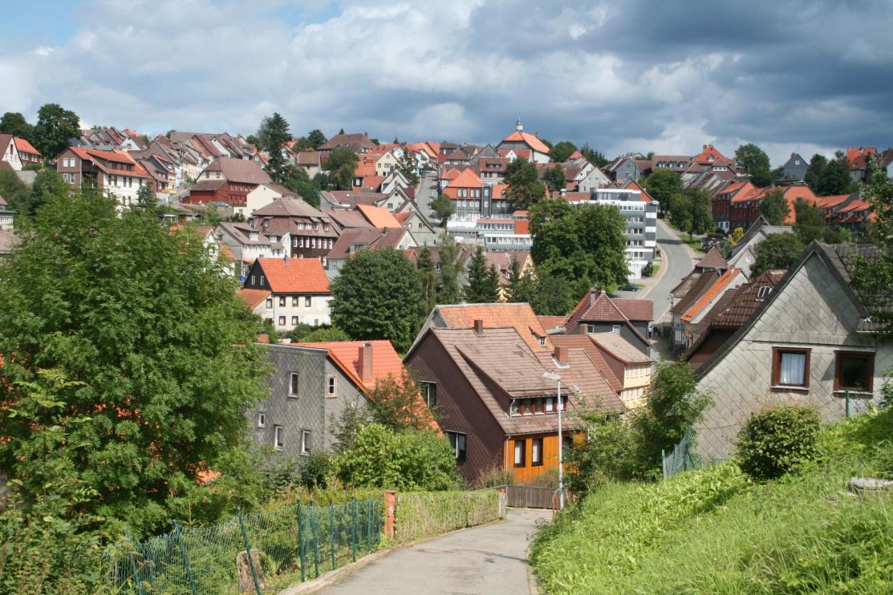זנקט אנדריאסברג Ferienwohnung Wiesenblick Mit Terrasse Im Landhaus Fischer מראה חיצוני תמונה